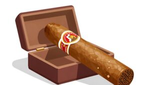 Современный кедровая humidore с премиальными кубинскими сигарами для правильного хранения вкуса от Табак Сити